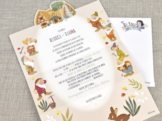 invitatie botez Alba ca Zapada 15704